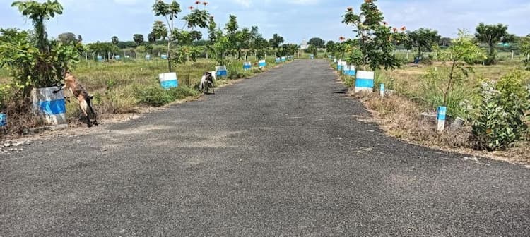 Plot sale