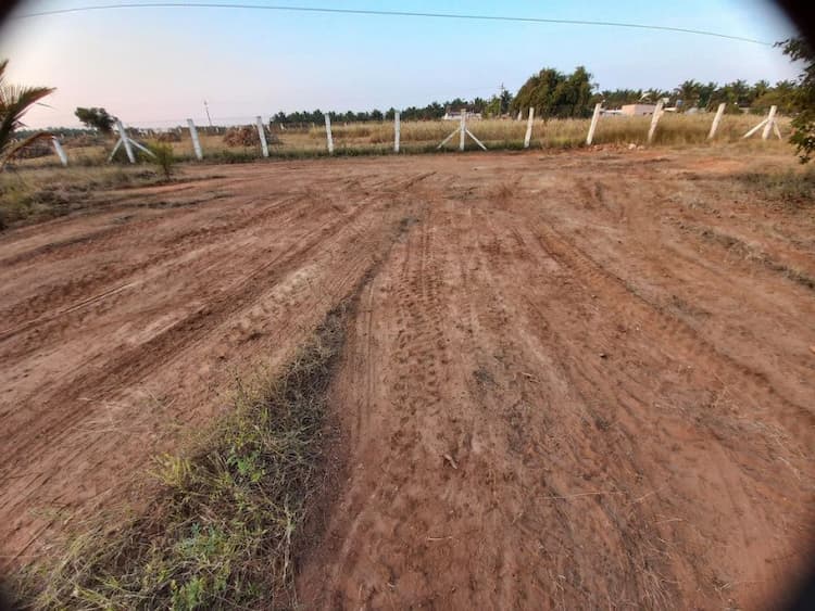 25 Cent Land for Sale