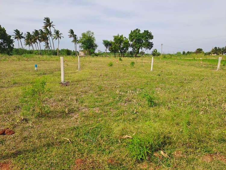 Land sale