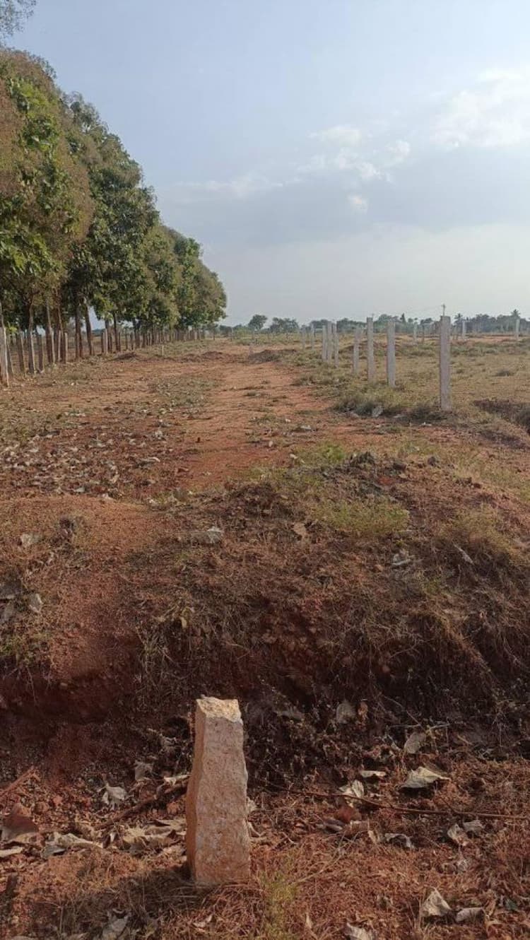 Plot for Sale