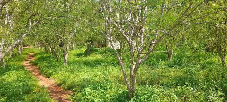 Single Property Image