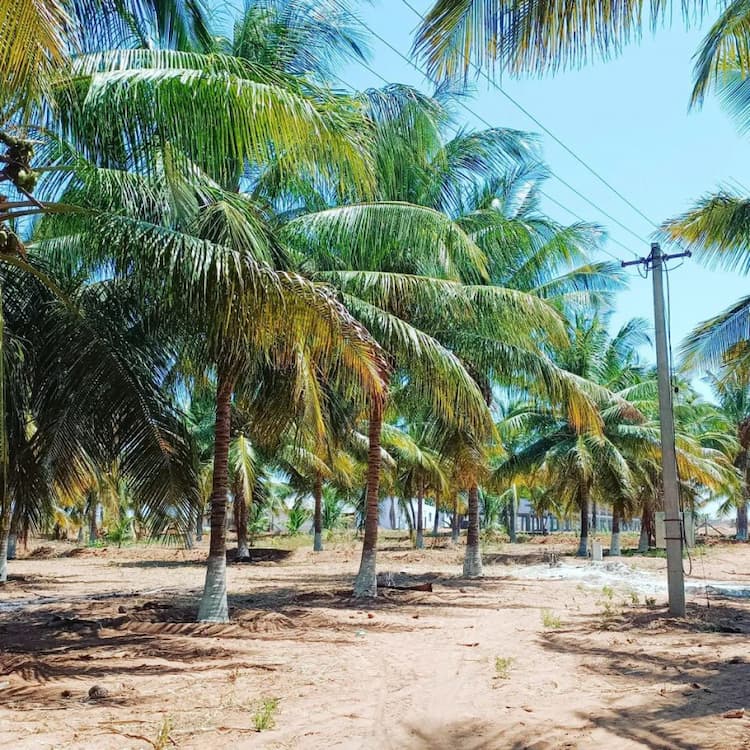 4.5 Acre Land for Sale