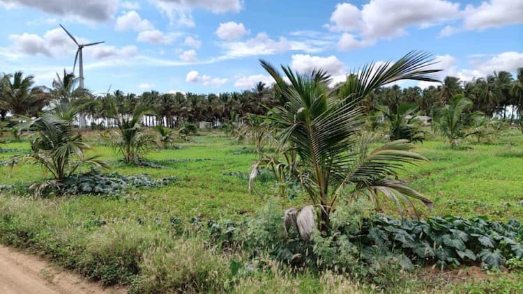 Single Property Image