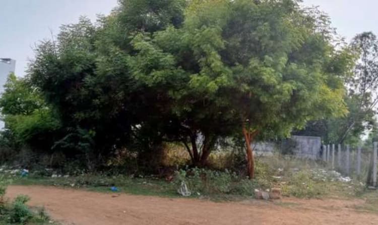 Land for sales