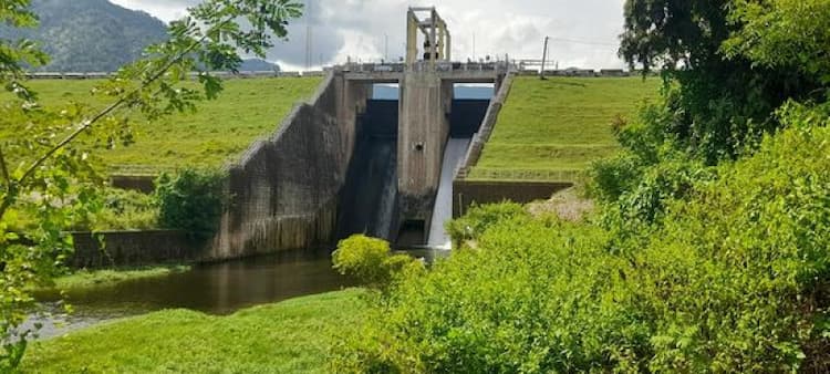 46 ACRES COCONUT  FARM LAND SALES