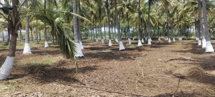 Land sale