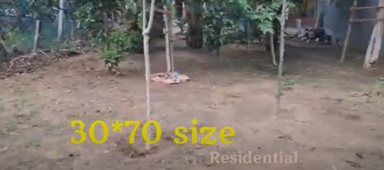 Land for sales