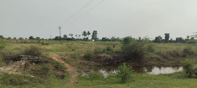 Single Property Image