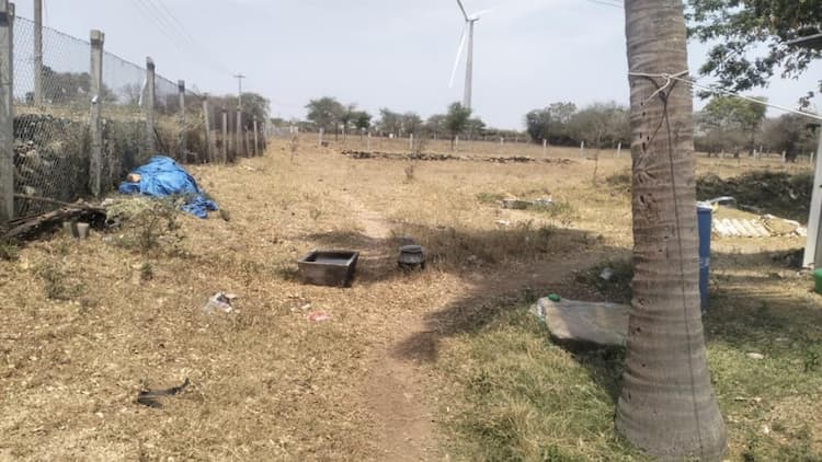 5 Acre land for sales