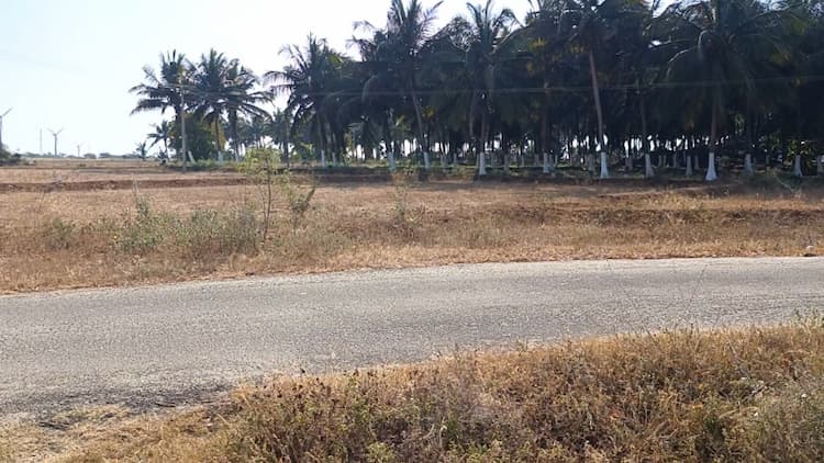 25 Cent Land for Sale