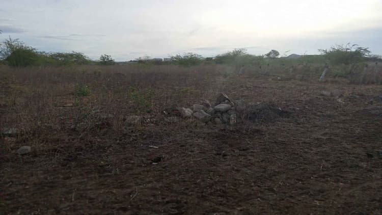 Land sale