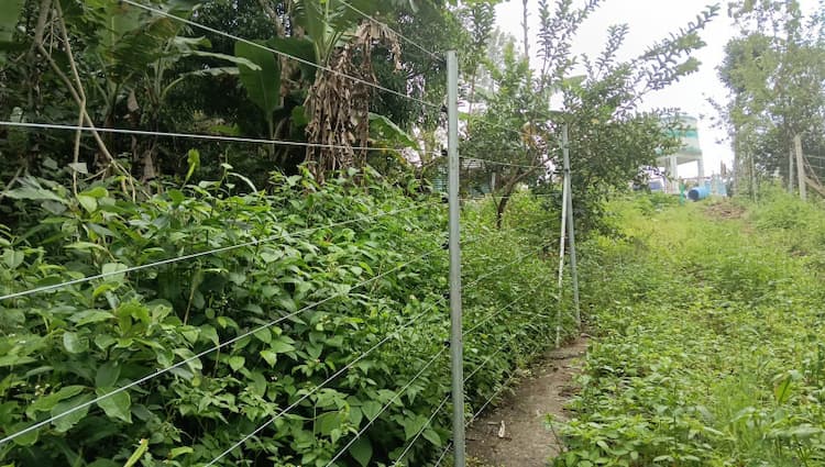 Single Property Image