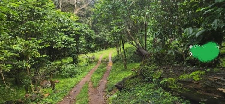 ORGANIC HILL FARMING AND COUNTRY FARMING (2 IN FARMLAND) SALE IN KODAIKANAL HILL