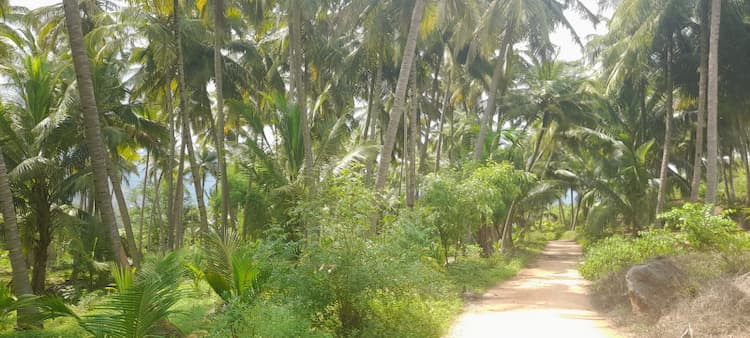 Single Property Image