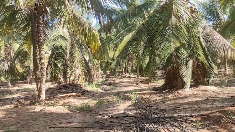 4.5 Acre Land for Sale