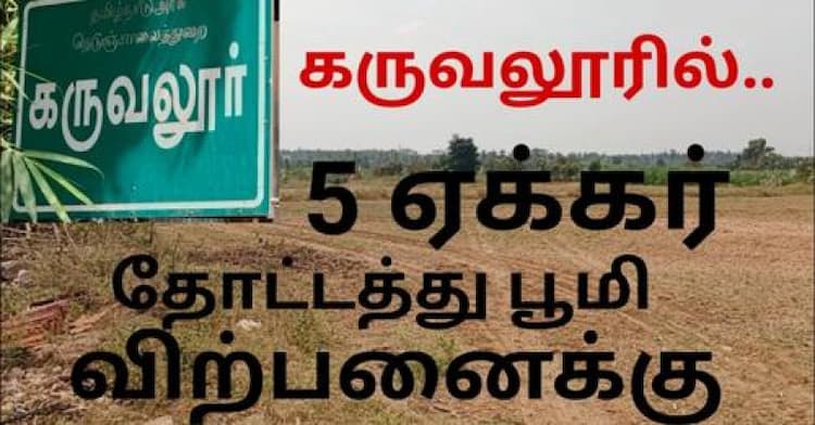 5 Acre land for sales