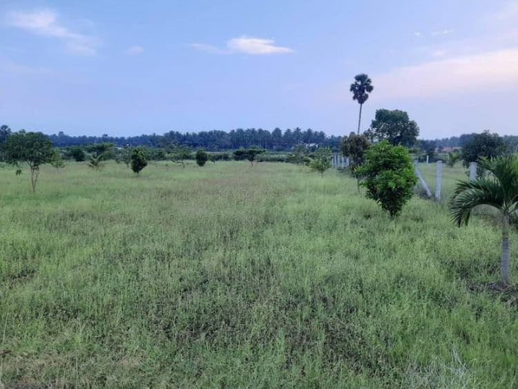 Empty Agri Land for Sale