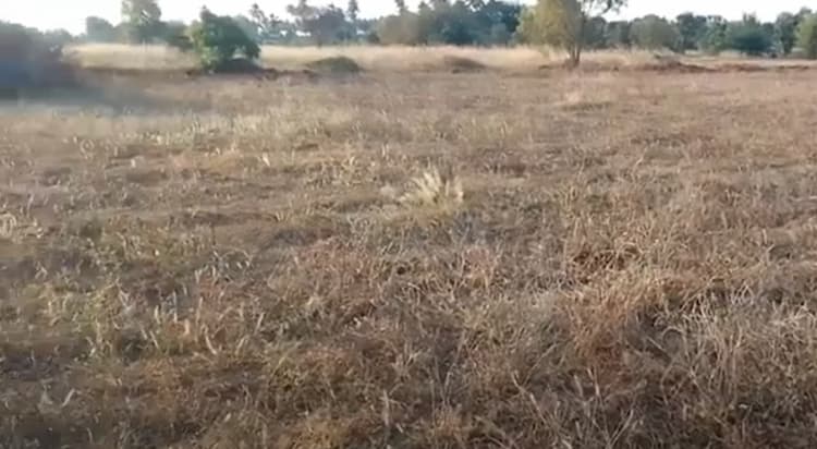 2.53 acre land for sales