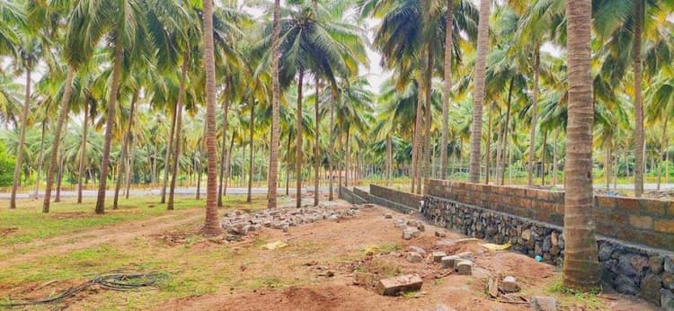 Sales for 20 Cents Onwards