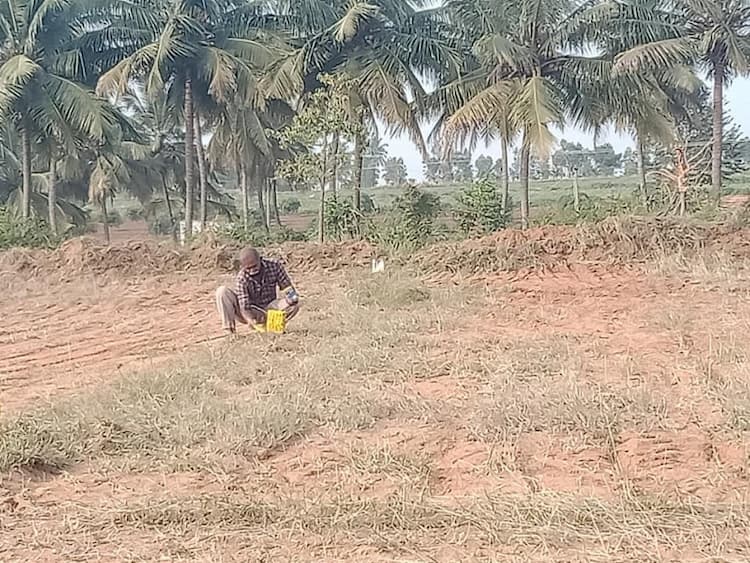 red soil site for sale