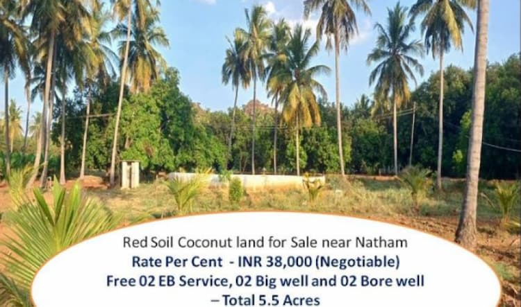 Land for Sale