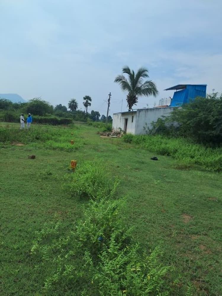 Single Property Image