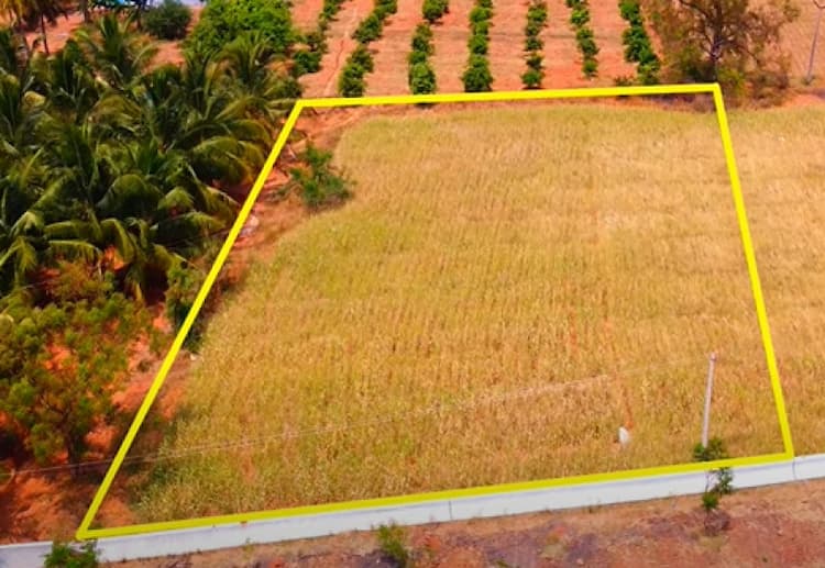 Single Property Image