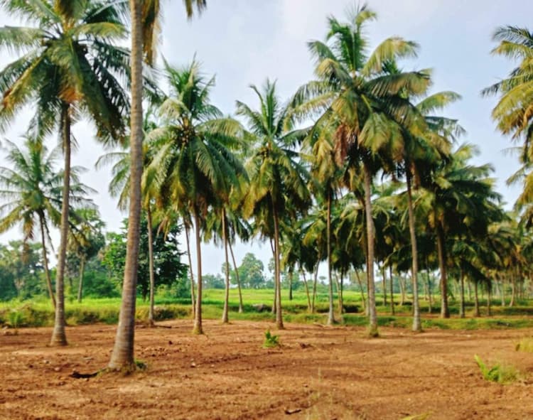 Single Property Image