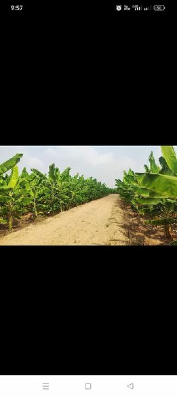 8.50 Acre land for sales