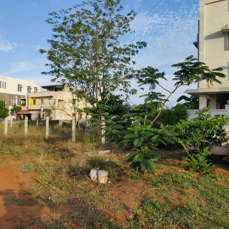 Single Property Image