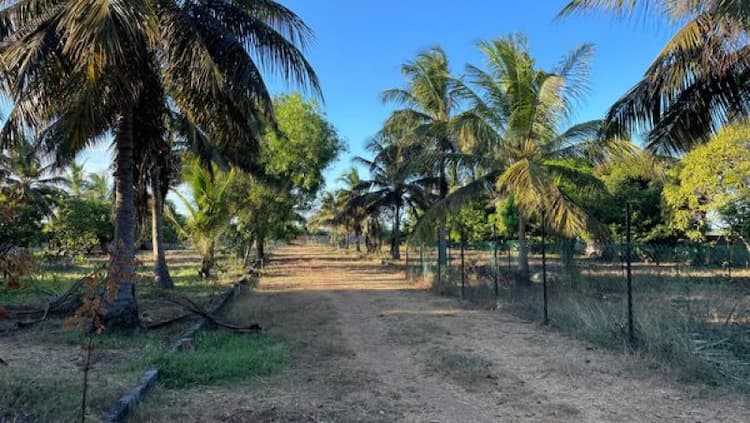 Single Property Image