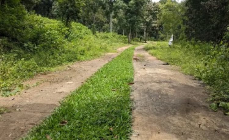 Single Property Image