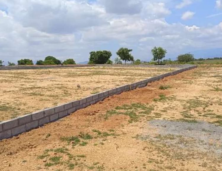 plot for sale