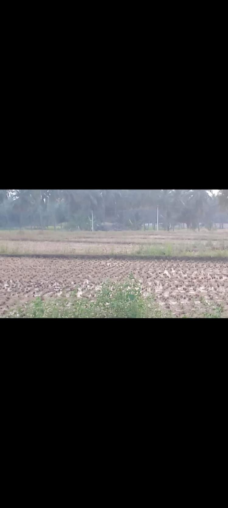 2 Acre land for sales