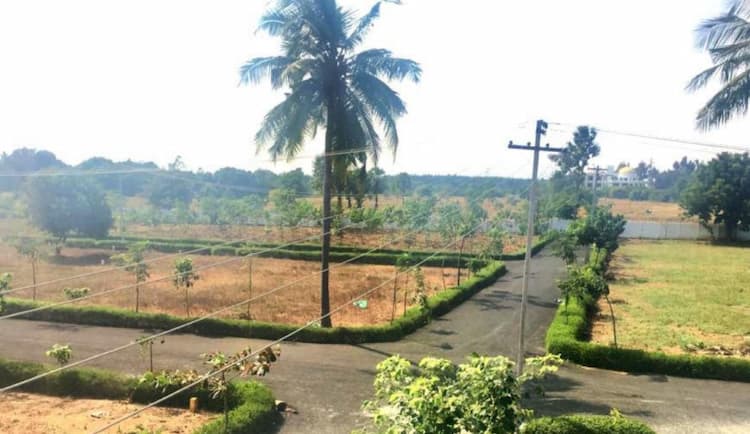 Single Property Image