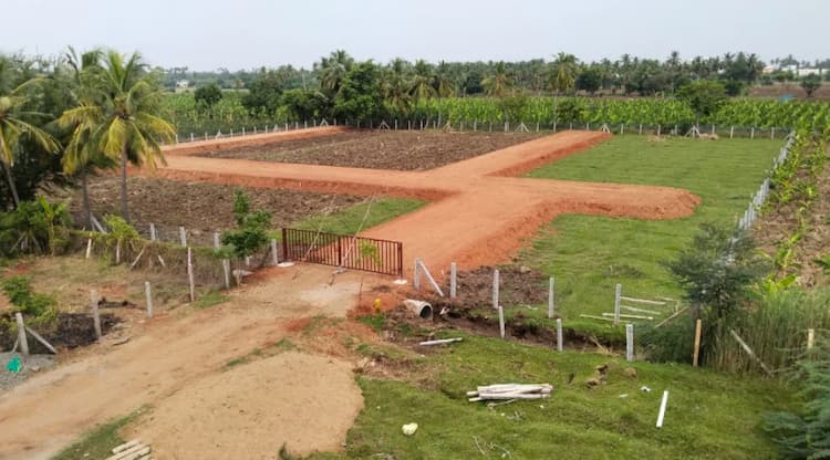 farm land sale