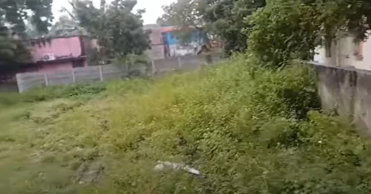 Land for sales
