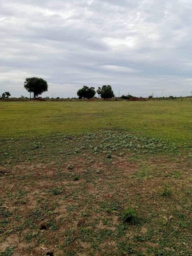 Plot sale