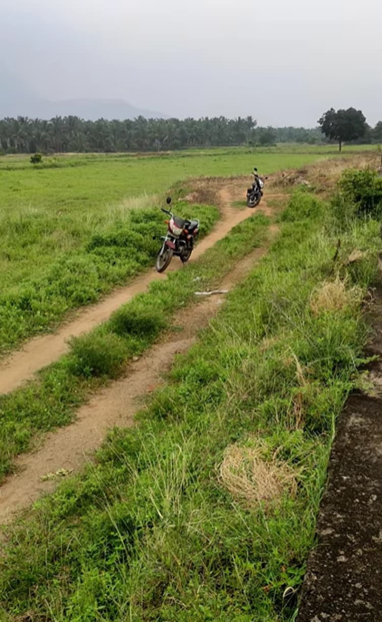 Single Property Image