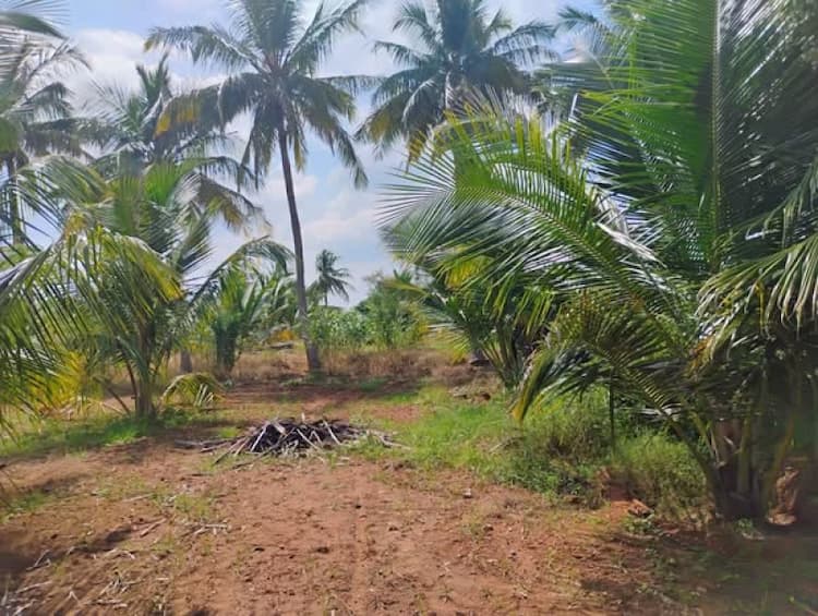 Single Property Image