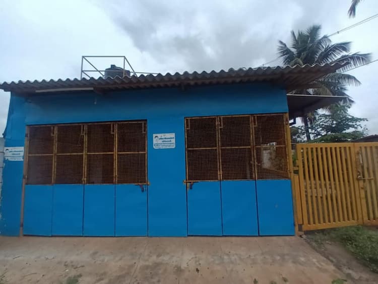 2shops &1house  for sale