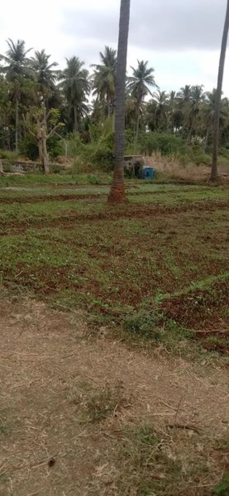 Land sale