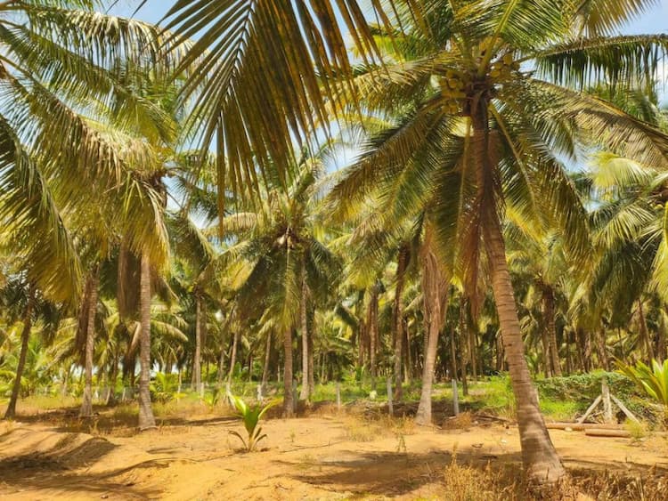 Single Property Image