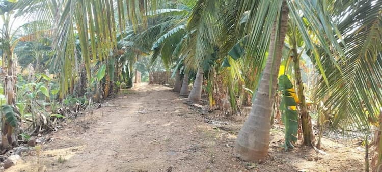 Single Property Image