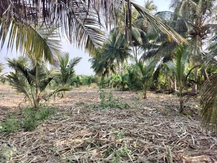 1 Acre land for sales