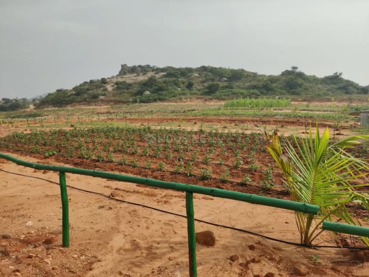  Sanvi Land for sale