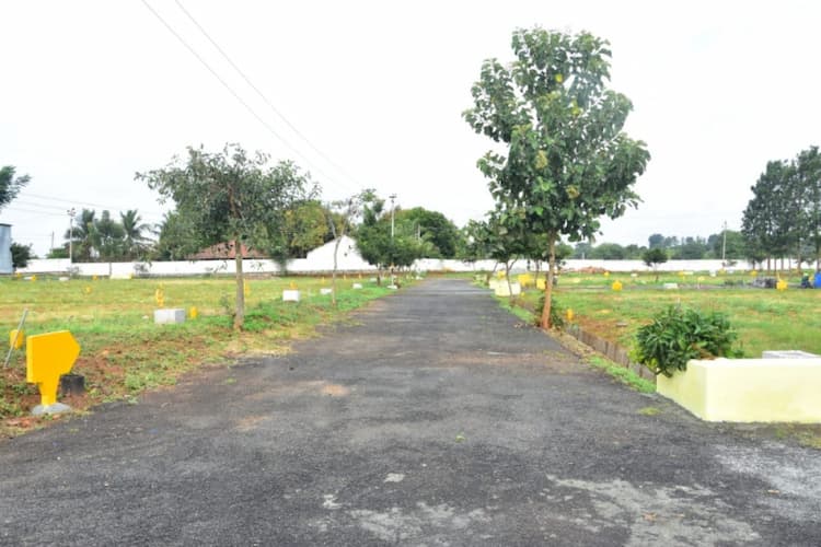 Single Property Image