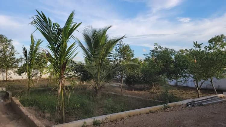 Single Property Image