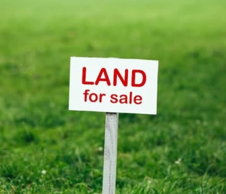 Plot for sale