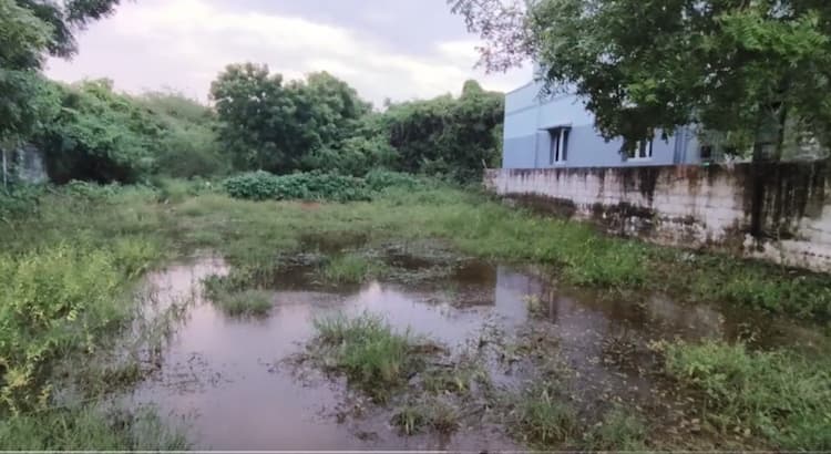 Land for sales